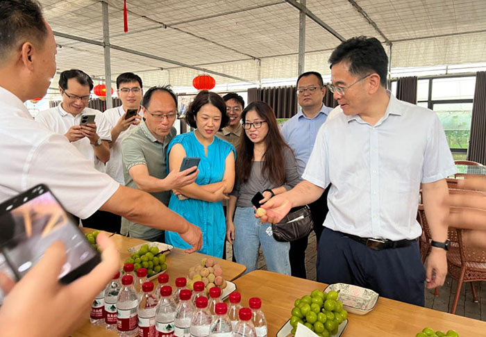 省社科联组织开展《中国式现代化江苏新实践研究丛书》课题调研